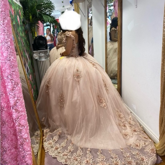 Elegant Pink Embellished Gowns - Picture 5 of 5